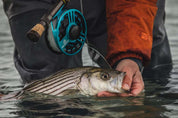 Cheeky Launch 400 Fly Reel | Hiline Sport