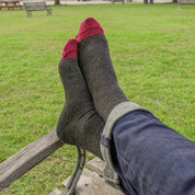 Darn Tough Men's Solid Crew Lightweight Lifestyle Sock | Hiline Sport