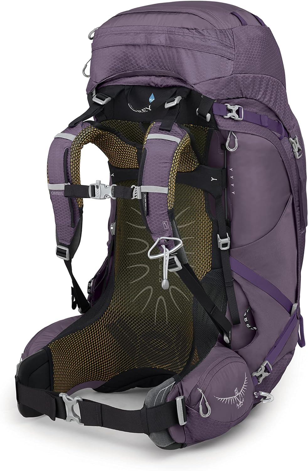 Osprey Women's Aura AG 65L Backpacking Backpack | Hiline Sport
