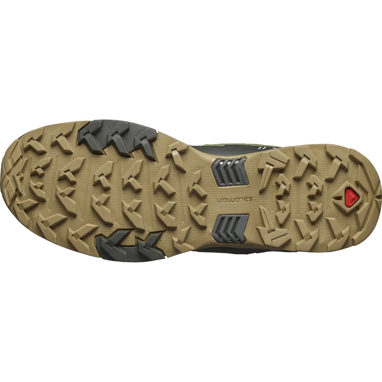 Salomon Men's X Ultra 4 Mid GTX Hiking Boot | Hiline Sport