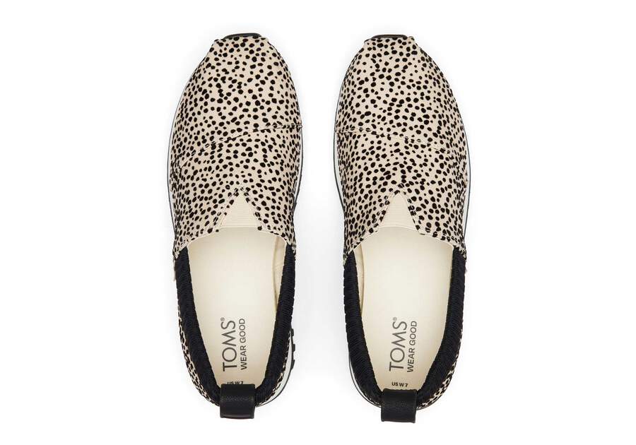 Toms Women's Resident 2.0 Sneaker | Hiline Sport