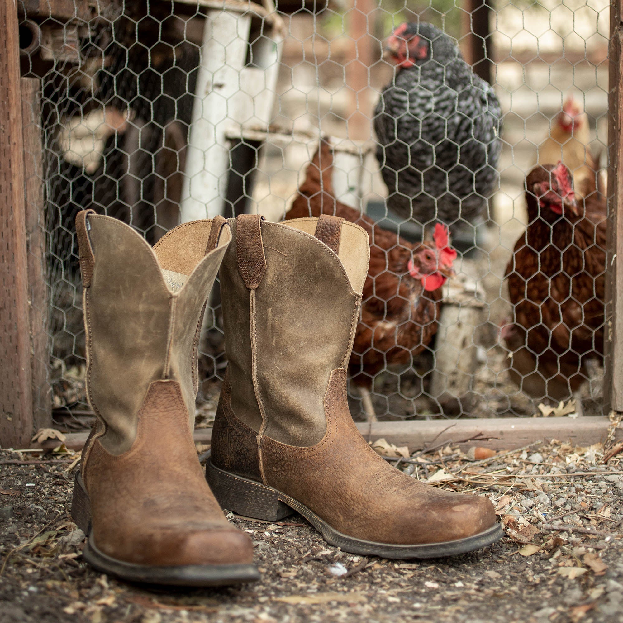 Ariat Men's Rambler Western Leather Boot - Hiline Sport -