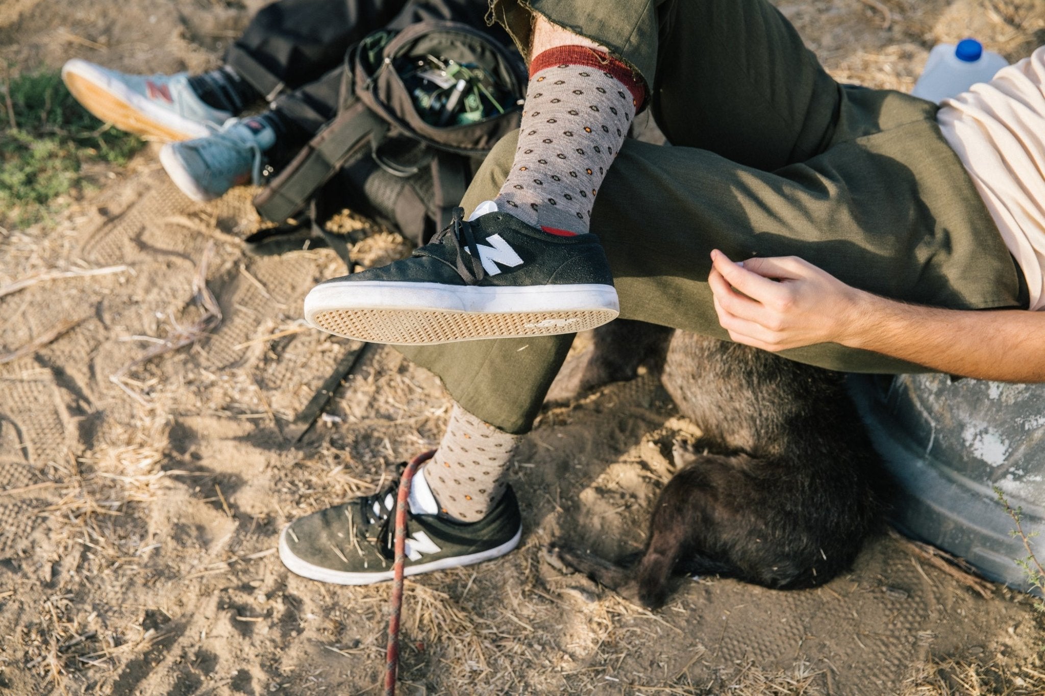 Darn Tough Men's Fish Eye Crew Light Socks - Hiline Sport -