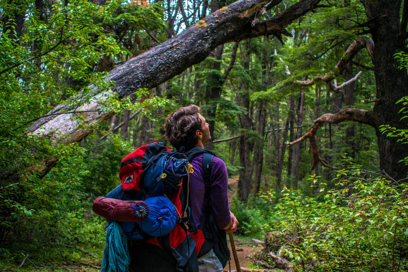 Pack Like a Pro: Essential Items Every Hiker Should Carry in Their Backpack