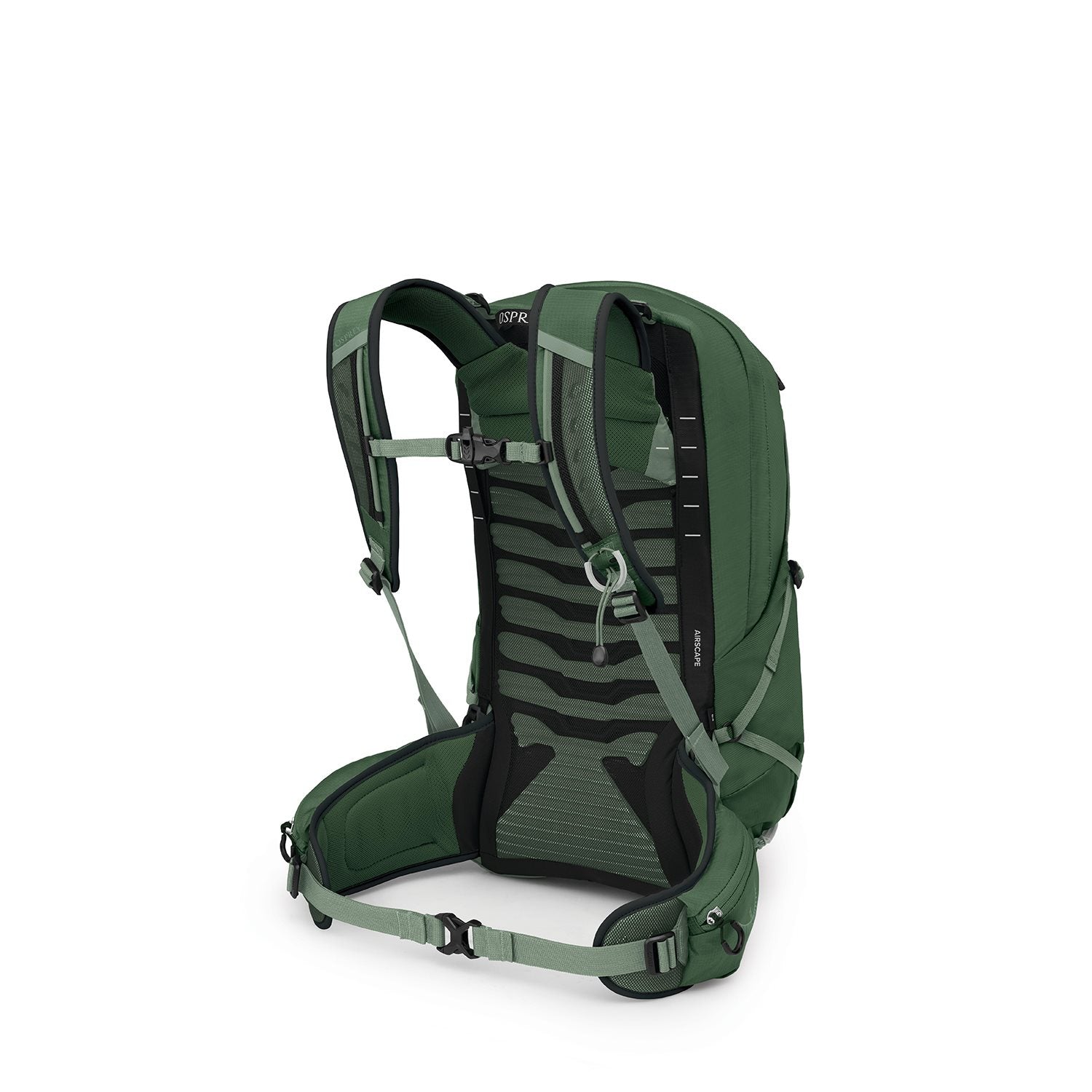 Osprey Men's Talon 22 Hiking Multi-Sport Backpack