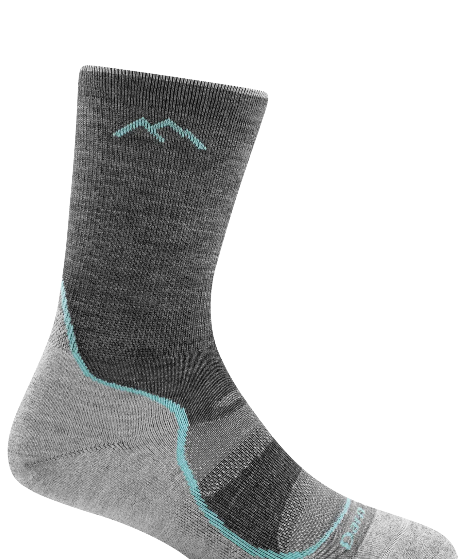 Darn Tough Women's Light Hiker Micro Crew Lightweight Hiking Socks
