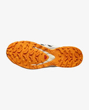 Salomon Men's XA PRO 3D V9 GORE-TEX Trail Running Shoes