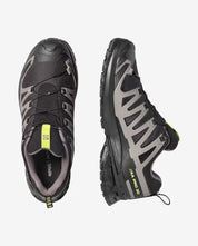 Salomon Men's XA PRO 3D V9 GORE-TEX Trail Running Shoes
