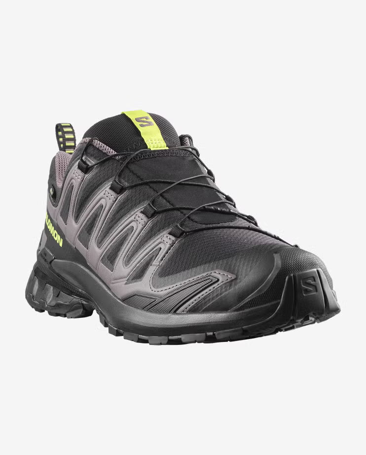 Salomon Men's XA PRO 3D V9 GORE-TEX Trail Running Shoes