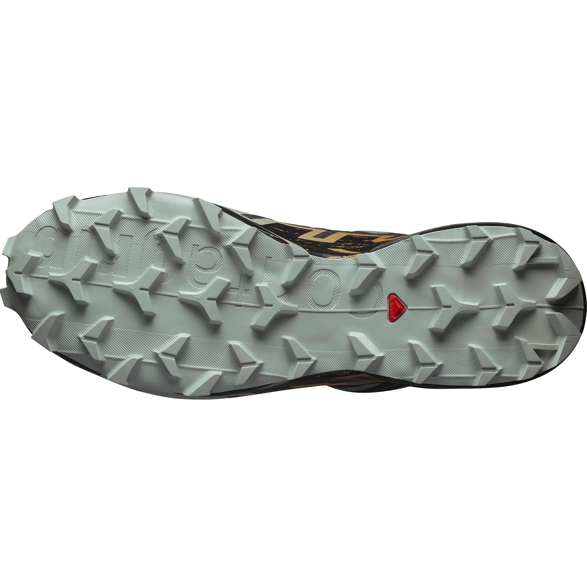 Salomon Men's Speedcross 6 Gore-Tex Trail Running Shoes