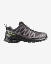 Salomon Men's XA PRO 3D V9 GORE-TEX Trail Running Shoes