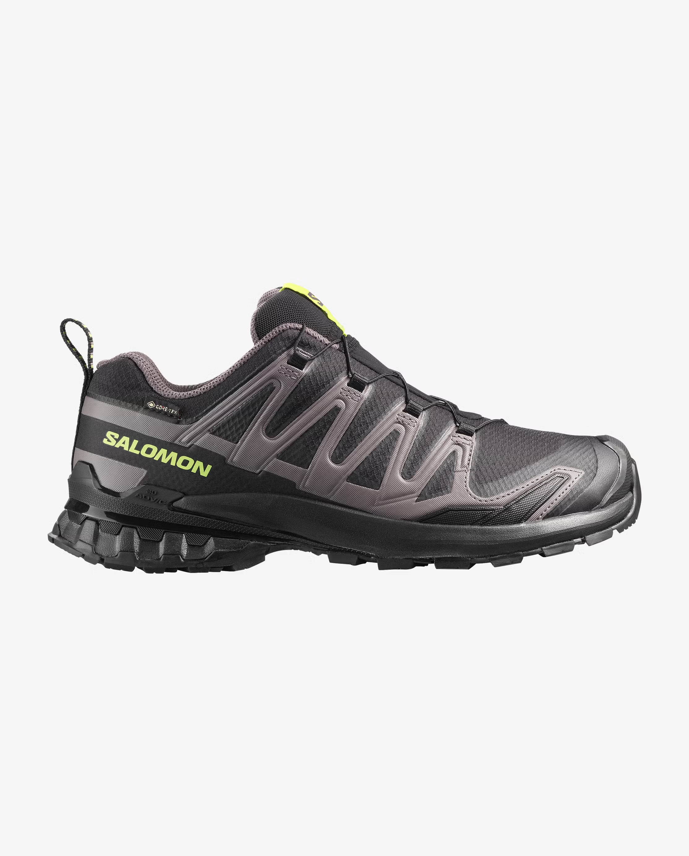 Salomon Men's XA PRO 3D V9 GORE-TEX Trail Running Shoes