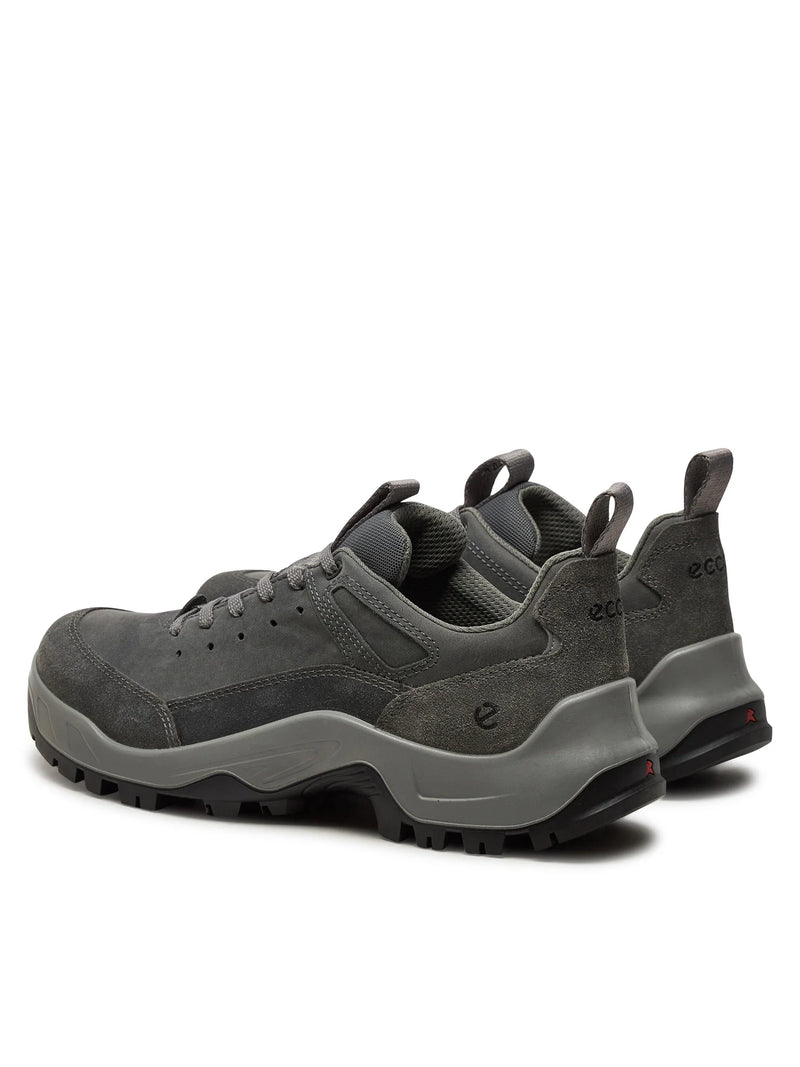 Ecco Men's Offroad Suede Outdoor Shoe