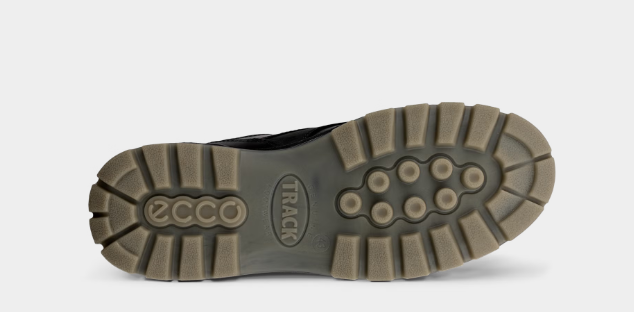 Ecco Men's Track 25 Shoe