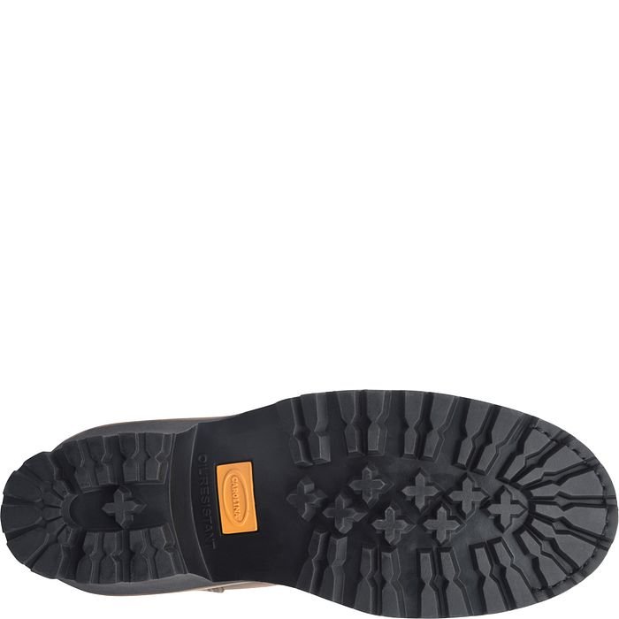 Carolina Men's Spruce 8" Soft Toe Waterproof Leather Logger Boot - Hiline Sport -