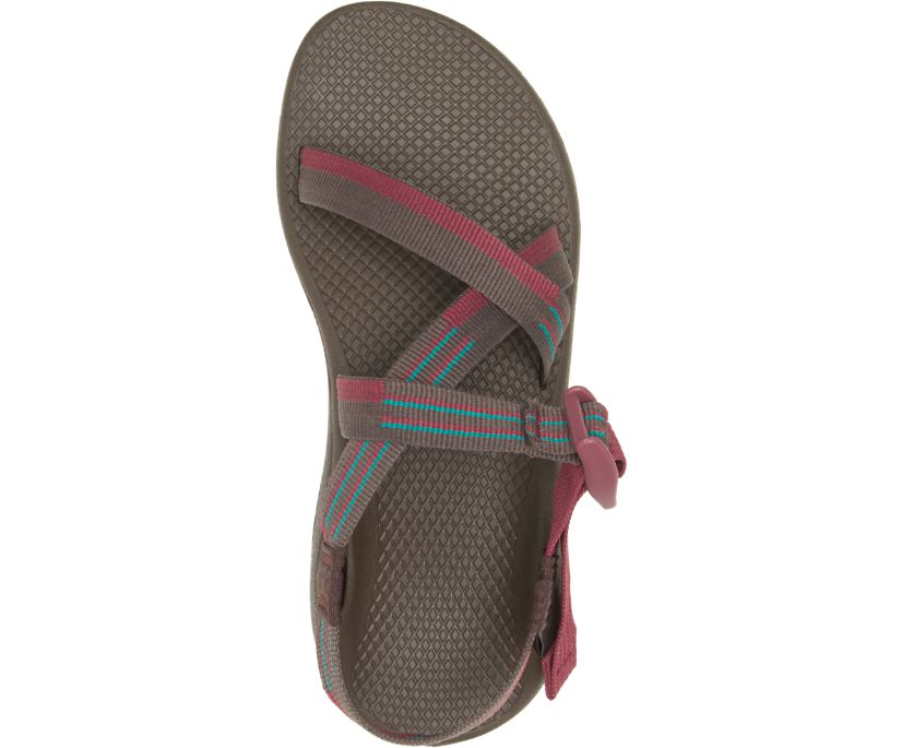 Chaco Women's Z/Cloud Sandal - Hiline Sport -