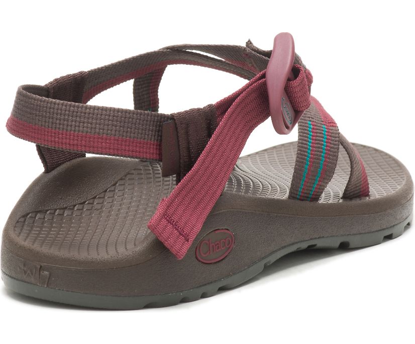 Chaco Women's Z/Cloud Sandal - Hiline Sport -