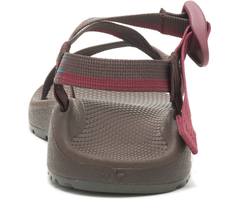 Chaco Women's Z/Cloud Sandal - Hiline Sport -