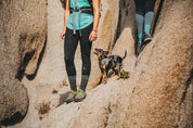 Darn Tough Women's Hiker Micro Crew Midweight Hiking Sock | Hiline Sport