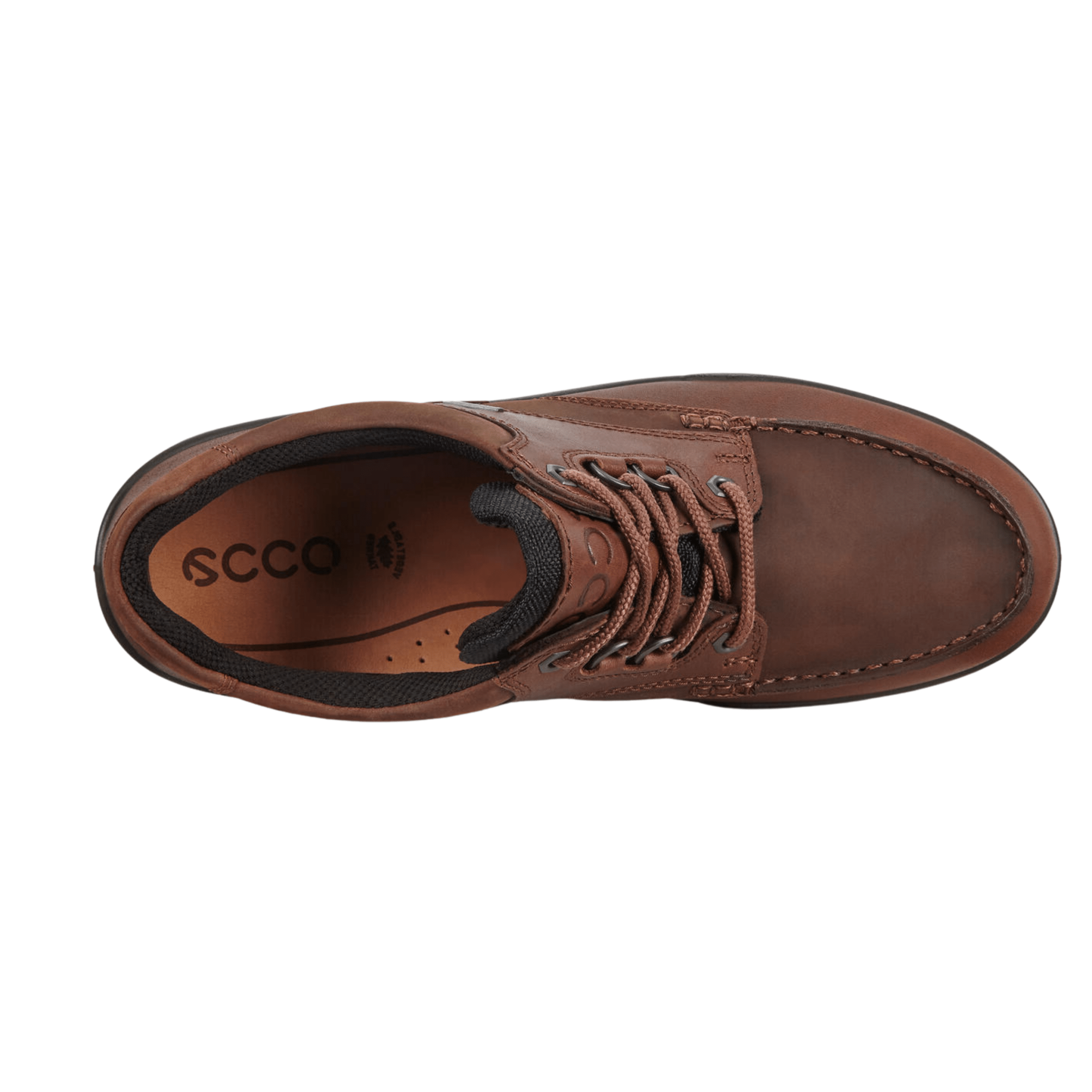 Ecco Men's Track 25 Low Hiking Shoe - Hiline Sport -