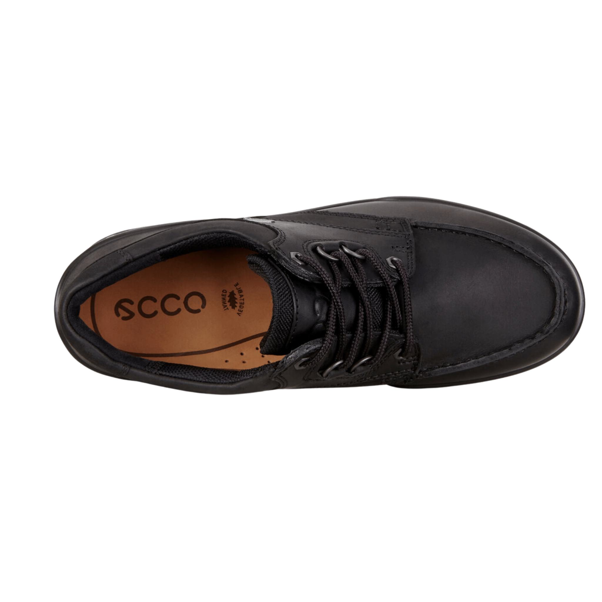Ecco Men's Track 25 Low Hiking Shoe - Hiline Sport -