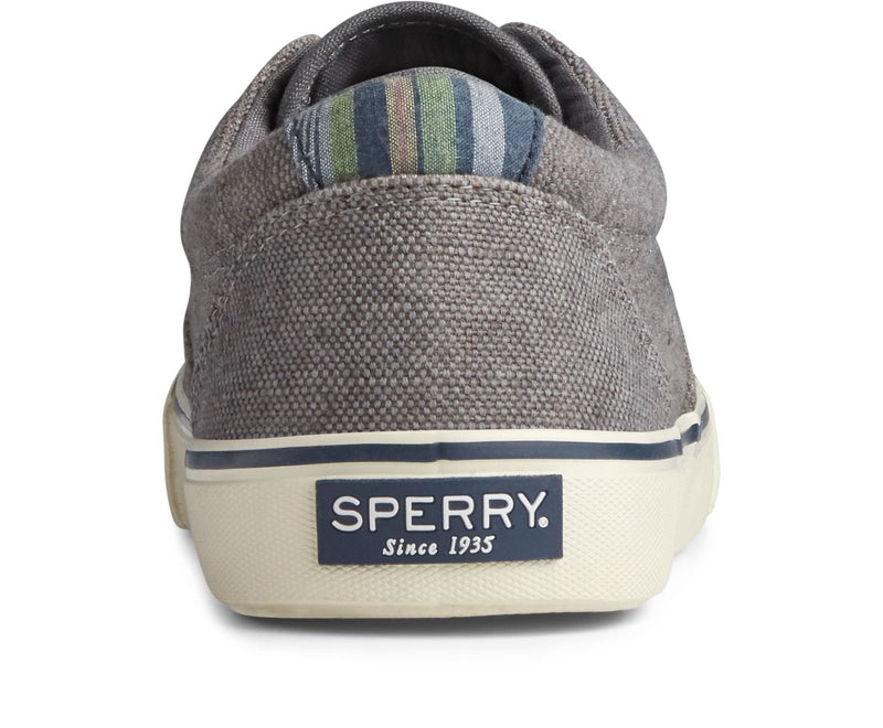 Sperry Men's Striper II CVO Distressed Sneaker - Hiline Sport -