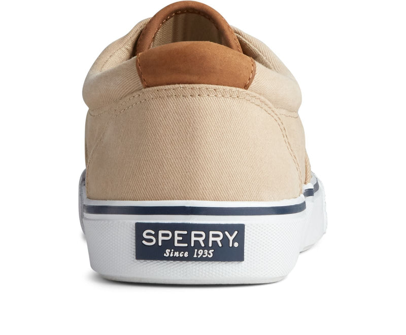 Sperry Men's Striper II CVO Sneaker Salt Washed - Hiline Sport -