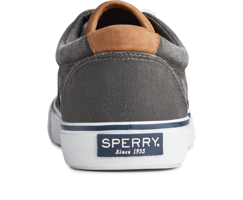 Sperry Men's Striper II CVO Sneaker Salt Washed - Hiline Sport -