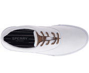 Sperry Men's Striper II Washed CVO Sneaker - Hiline Sport -