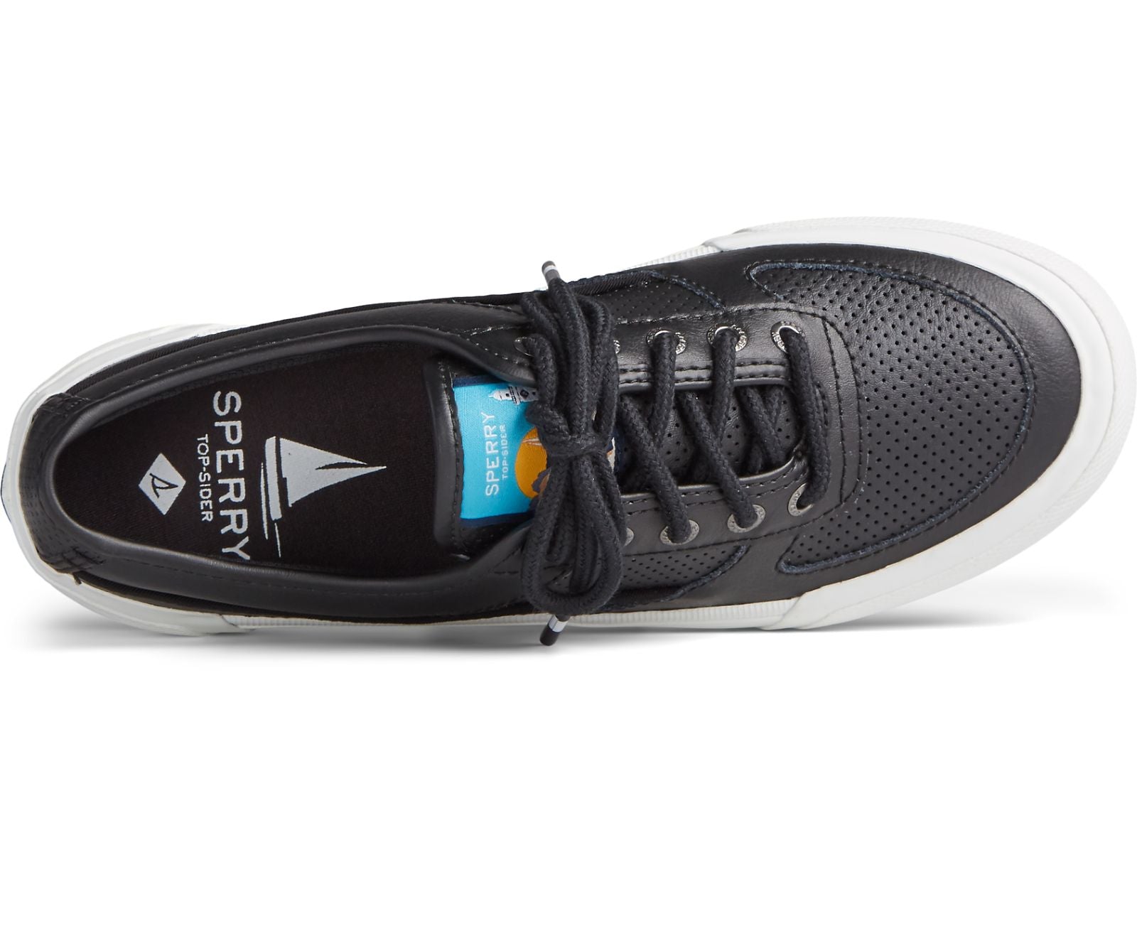 Sperry Women's Soletide Sneaker - Hiline Sport -