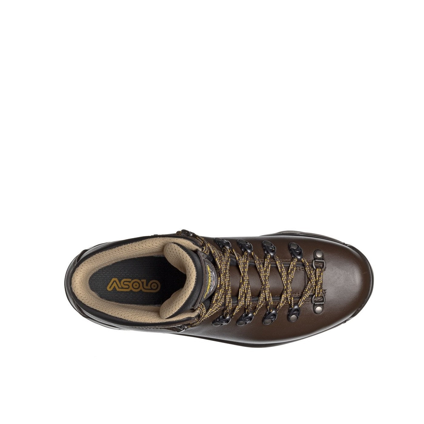 Asolo TPS 520 GV Boot - Men's Hiking Boot - Chestnut